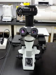 細胞観察用倒立型顕微鏡