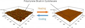 Direct Characterization of In-Plane Phase Separation in Polystyrene Brush:Cyclohexane System