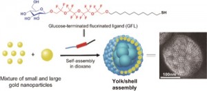 Yolk:Shell Assembly of Gold Nanoparticles by Size Segregation in Solution