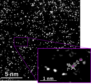 図4. 基板に吸着した高分子鎖のADF-STEM像．高分子鎖に含まれる重元素原子が輝点として観察されている．