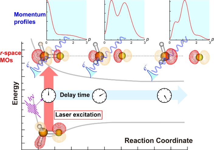 時間分解電子コンプトン散乱分光の概念図