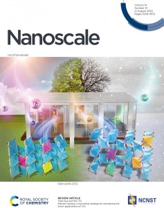 Nanoscale (2022), 14, 11054-11097, doi:10.1039/d2nr01864k