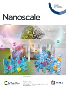 Nanoscale (2022), 14, 11054-11097, doi:10.1039/d2nr01864k