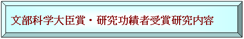 額縁: 文部科学大臣賞・研究功績者受賞研究内容