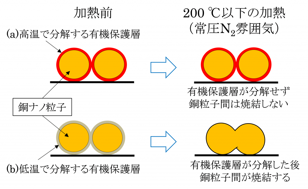 図1. 焼結特性比較概略図 (a)：既往の合成法で得た銅ナノ粒子、(b)：水溶性銅錯体で得た銅ナノ粒子