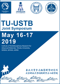 20190516-17_TU-USTB_Joint Sympo