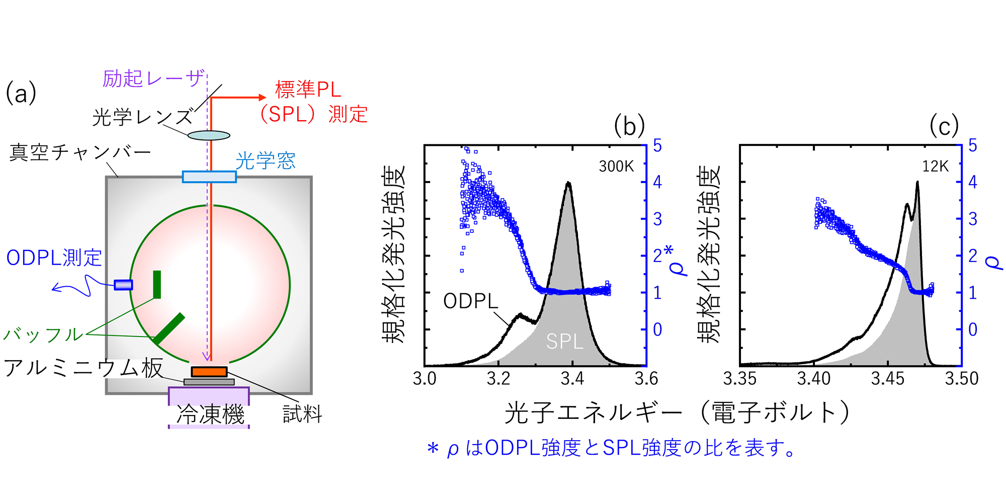 (a) 温度可変全方位フォトルミネセンス（ODPL）計測装置の概略図。(b) 室温および (c) 極低温下において計測されたODPLスペクトルおよび標準PL（SPL）スペクトル。発光強度比ρはODPLスペクトルをSPLスペクトルにて除したもの。光吸収が強いエネルギー領域ではρが1に収束（規格化したODPLスペクトルとSPLスペクトルとが一致）している。